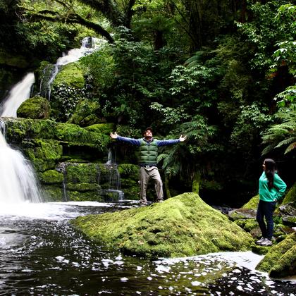 McLean Falls in the Catlins