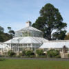 Dunedin Botanic Gardens glasshouse