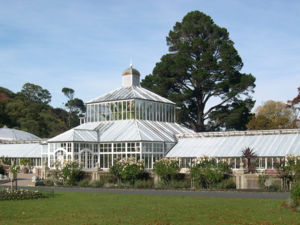 Dunedin Botanic Gardens glasshouse