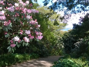 Spring, Dunedin Botanic Gardens