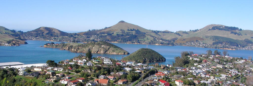 View from lookout over Port Chalmers