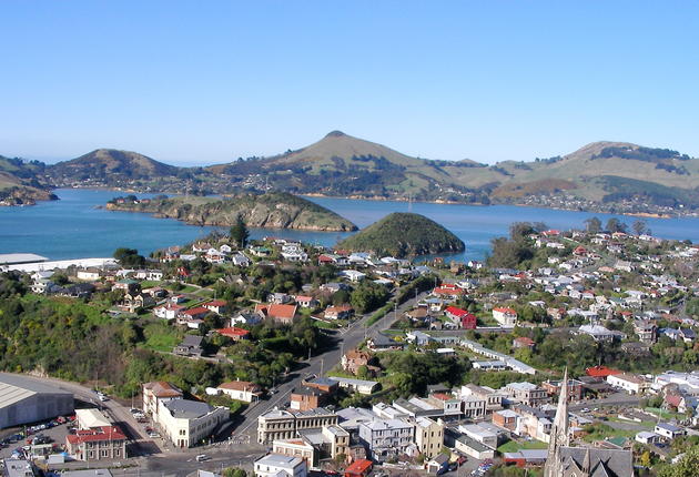 A short drive from Dunedin, historic Port Chalmers offers an interesting mix of heritage attractions, cafés and galleries.
