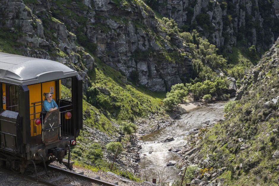 Onboard Taieri Gorge Train 