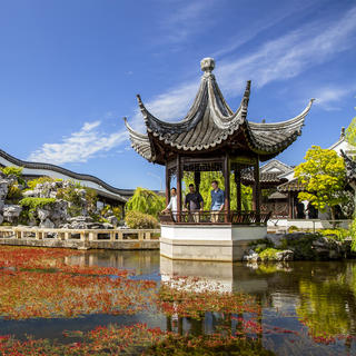 Lan Yuan, Chinese Garden