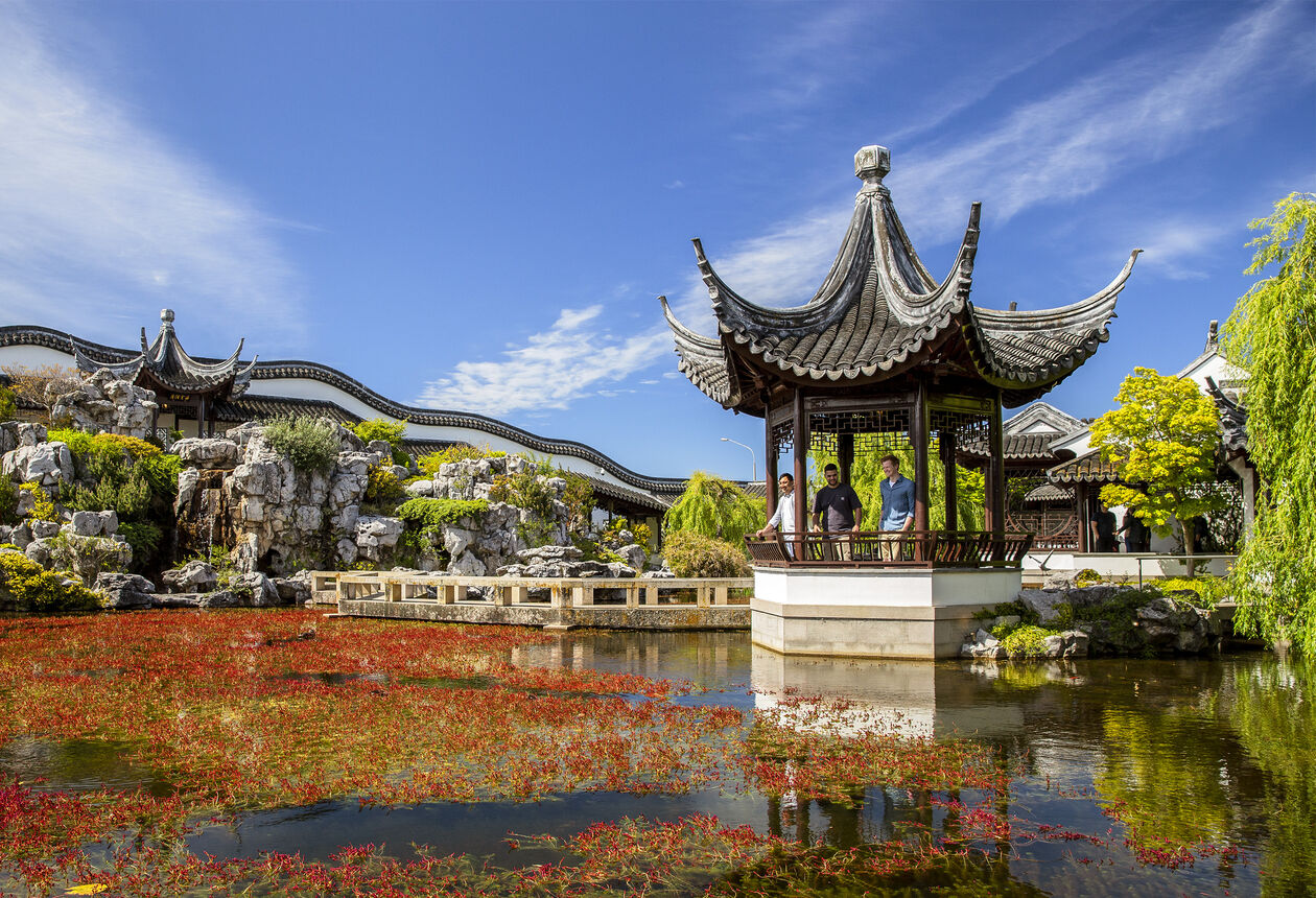 Known by some as the eco-capital of New Zealand, this region is home to passionate green fingers who tend to a number of spectacular gardens.