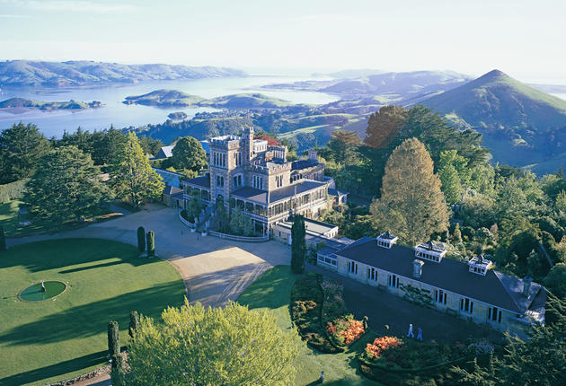 Explore Dunedin's Victorian and Edwardian architecture, get close to rare wildlife and soak up the quirky city vibe.