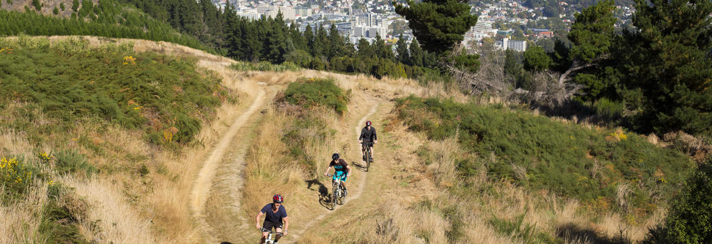 Take a ride down the Signal Hill Track in Dunedin, with the city spread out before you.