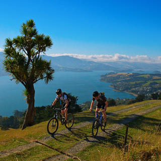 Cycle the Otago Peninsula and witness stunning views.