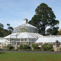 Dunedin Botanic Gardens glasshouse