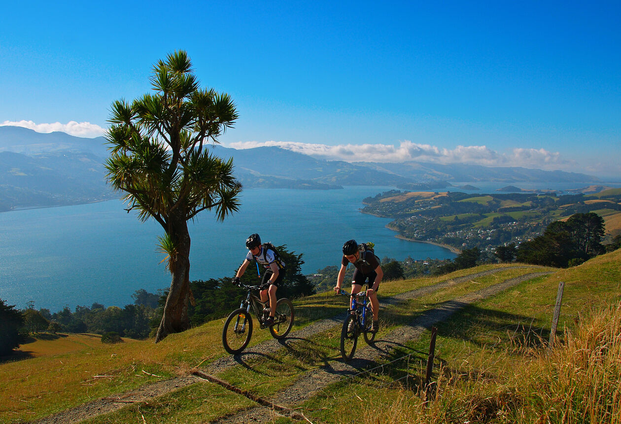 ダニーデンはサイクリングにもってこいの町。市内はコンパクトにまとまり、郊外には素晴らしいマウンテンバイクトラックがあって、丘の上からは美しい眺望が楽しめます。