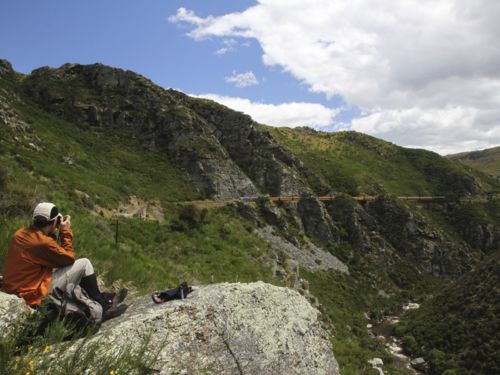 Die Taieri Gorge Railway führt von Dunedin aus durchs Hinterland bis in die namensgebende Schlucht.