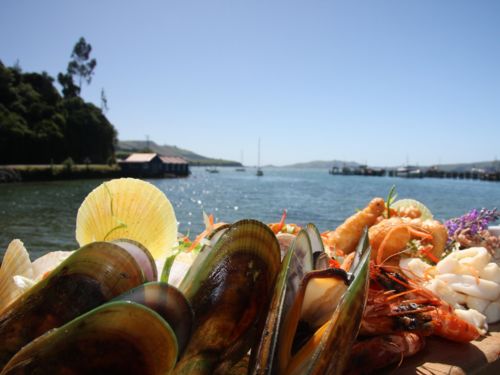 Seafood, Port Chalmers