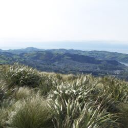 从弗拉格斯塔夫山（Flagstaff Hill）上的观景点可高高地俯瞰风光旖旎的海港和内陆平原，这在开拓者时代是一处非常有利的地形。