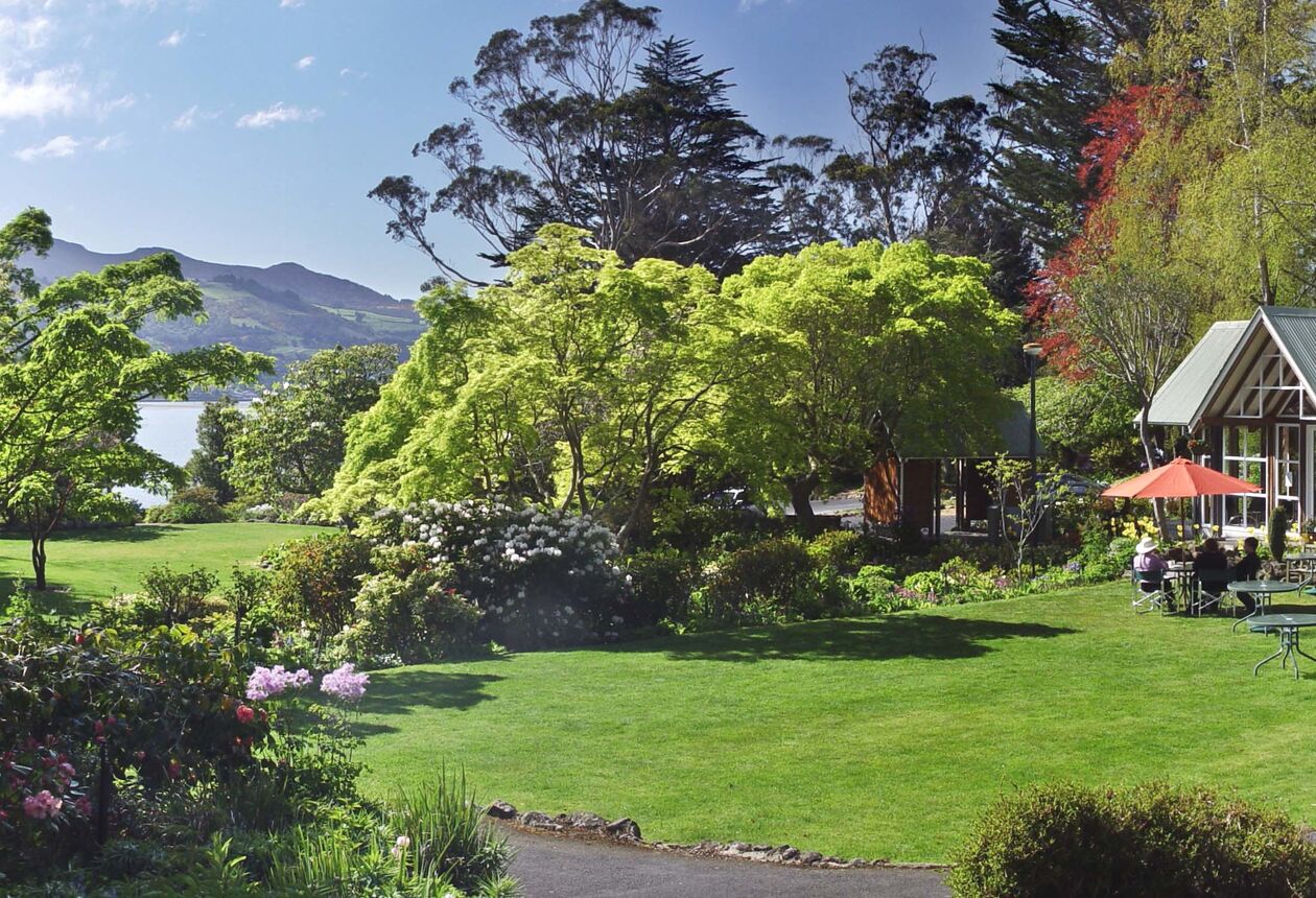 エコ意識が高くガーデニングに熱心な人の多いダニーデン地方には素晴らしいガーデンがたくさんあります。