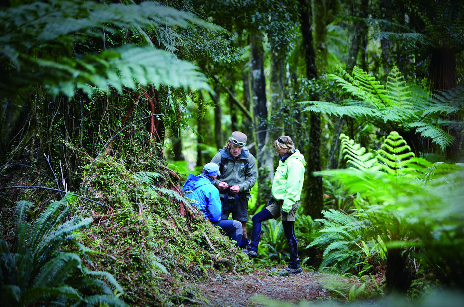 Getting back to nature on the Hollyford Track.