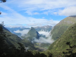 Auf diesem Wanderweg durchstreift man Landschaften, die typisch für die beeindruckende Region Fiordland sind.