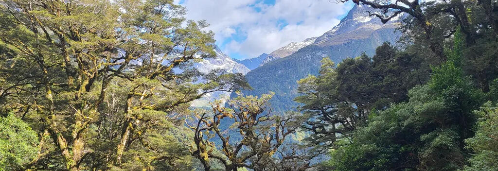 Routeburn Track