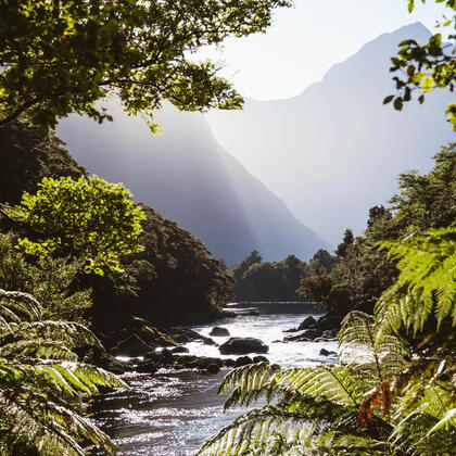 Milford Track