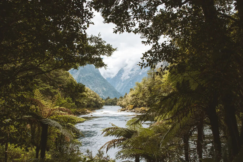 Milford Track