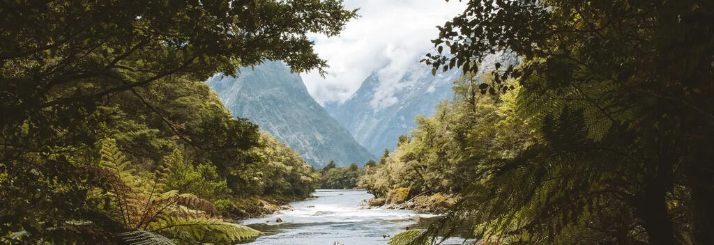 Milford Track