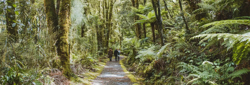 Milford Track