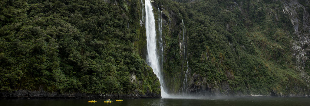 Kayaking Milford Sound