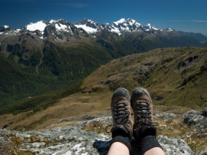 Views over the Hollyford Valley