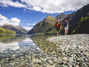 Der Naturpfad am Lake Gunn ist ein einfacher, 45-minütiger Rundweg. Geeignet für alle Altersstufen und Fitnesslevel.