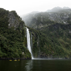밀포드사운드 카약 여행