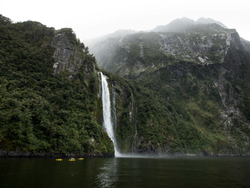밀포드사운드 카약 여행