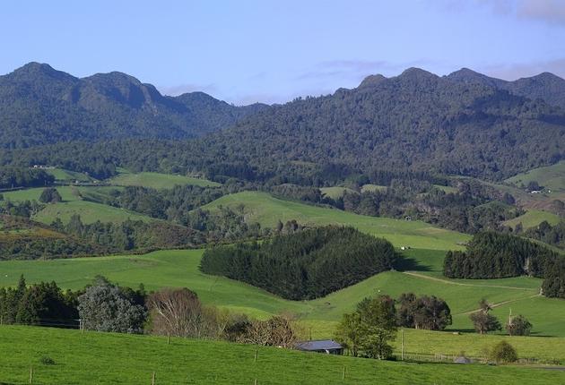 The rural township of Pirongia sits at the foot of Mount Pirongia, and makes a good base for explorations into the native forest.