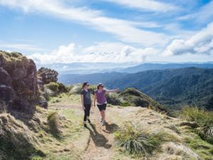 Mt Te Aroha