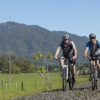 Great mountain biking tracks are on offer around the base of Mt Te Aroha