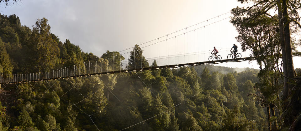 沿着这条蜿蜒的北岛自行车道穿越古老的森林和吊桥。