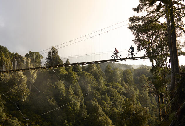 Known in Māori as Nga Haerenga – the Journeys – the New Zealand Cycle Trail encompasses 22 Great Rides offering cycle tours for every age and ability, taking in many of the country’s must-see sights while soaking up magnificent scenery.
