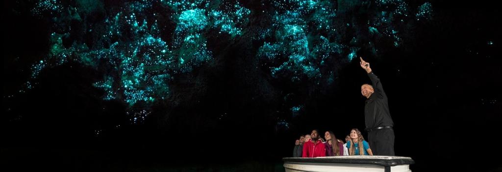 Take a boat ride underground to experience the magic of thousands of indigenous glow worms lighting up the grotto like a star-studded sky.