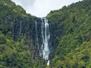 马塔马塔（Matamata）的怀里里瀑布（Wairere Falls）