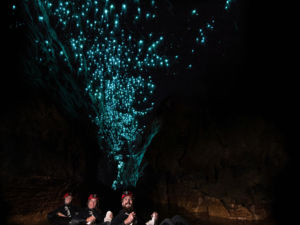 Black Labyrinth tour underground tubing. See the magical glow worms while floating down a river.