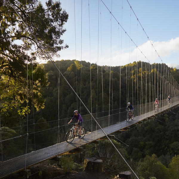 This long suspension bridge is surrounded by lush New Zealand scenery.