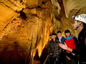 Exploración de las cuevas de luciérnagas en Waitomo