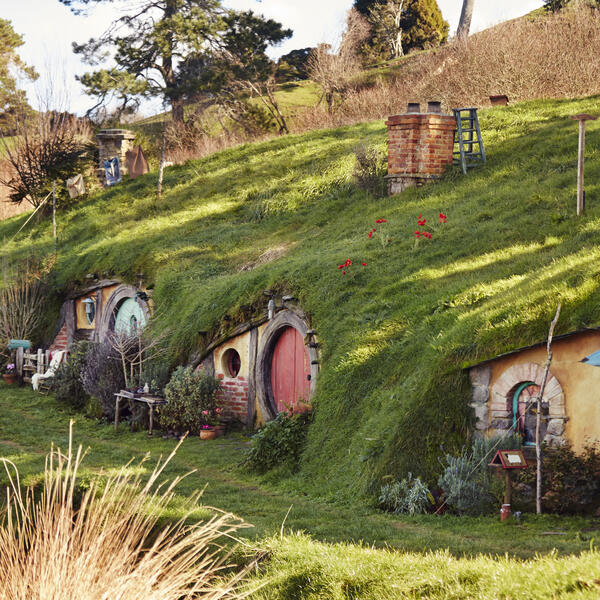 Sheltered by tall trees, the hobbit holes at Hobbiton Movie Set are beautifully detailed.