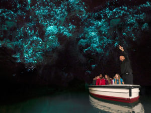 乘船静静地驶入举世闻名的怀托摩萤火虫洞（Waitomo Glowworm Caves），让头上成千上万只神奇的萤火虫带给你惊喜。