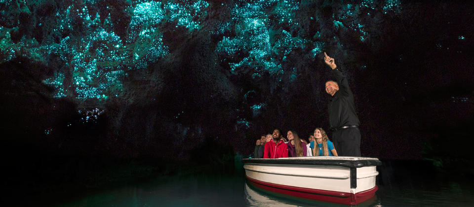 Waitomo Glowworm Caves