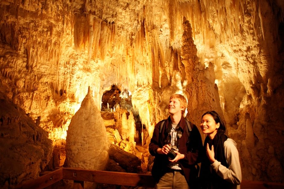 지하 싱크홀, 동굴, 터널이 미로처럼 얽힌 신비로운 동굴 지대 와이토모 동굴 방문하기