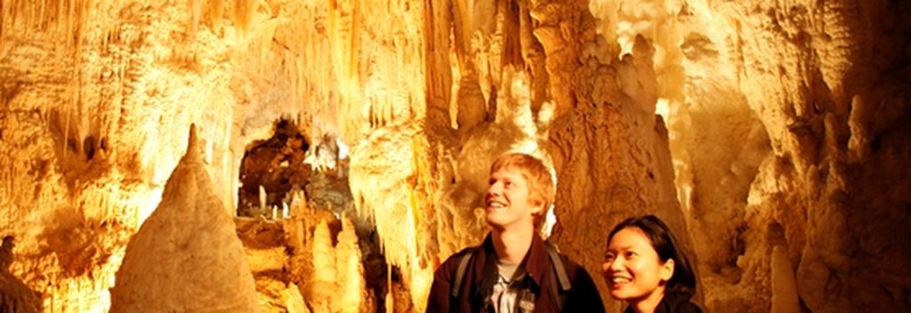 Visit the Waitomo Caves - a fascinating labyrinth of underground sinkholes, caves and tunnels.