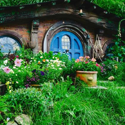 The Lord of the Rings and The Hobbit movie trilogies were permanently constructed on rolling farmland near Matamata, a two-hour scenic drive from Auckland. Here you can take as many photos as you like, while wandering through the Shire on a guided tour.