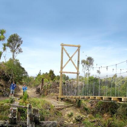 There are 8 suspension bridges on the Timber Trail - pretty impressive!