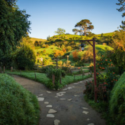 Hobbiton™ Film Set