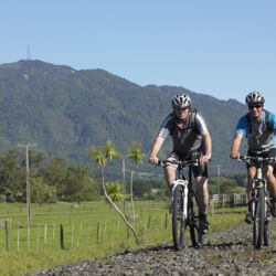 蒂阿洛哈山（Mt Te Aroha）山脚下有很棒的山地自行车道