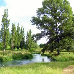 Te Waihou Walkway, Putaruru